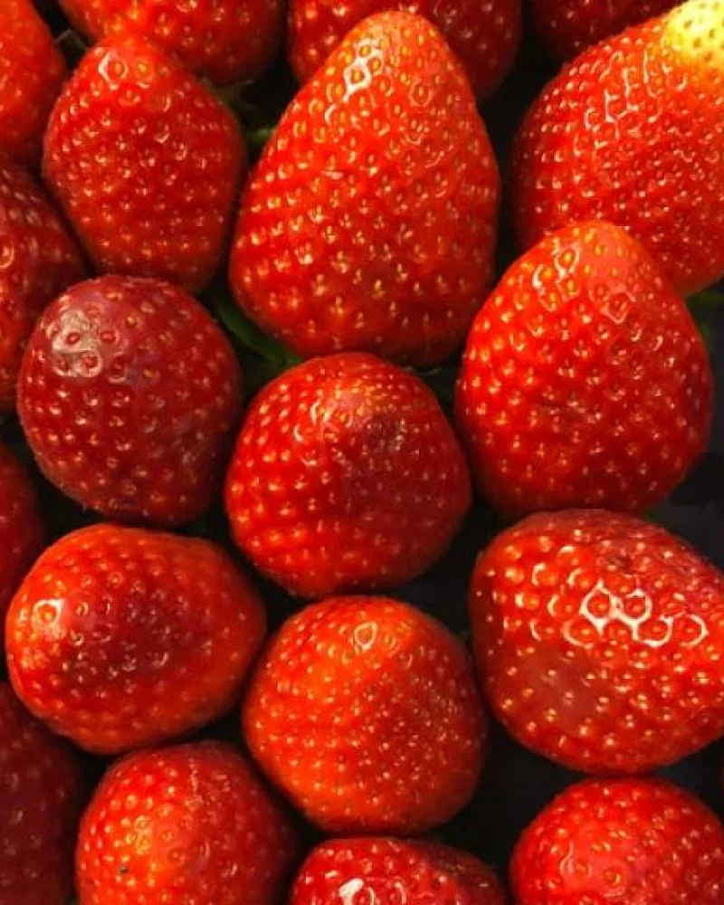 Morango congelado