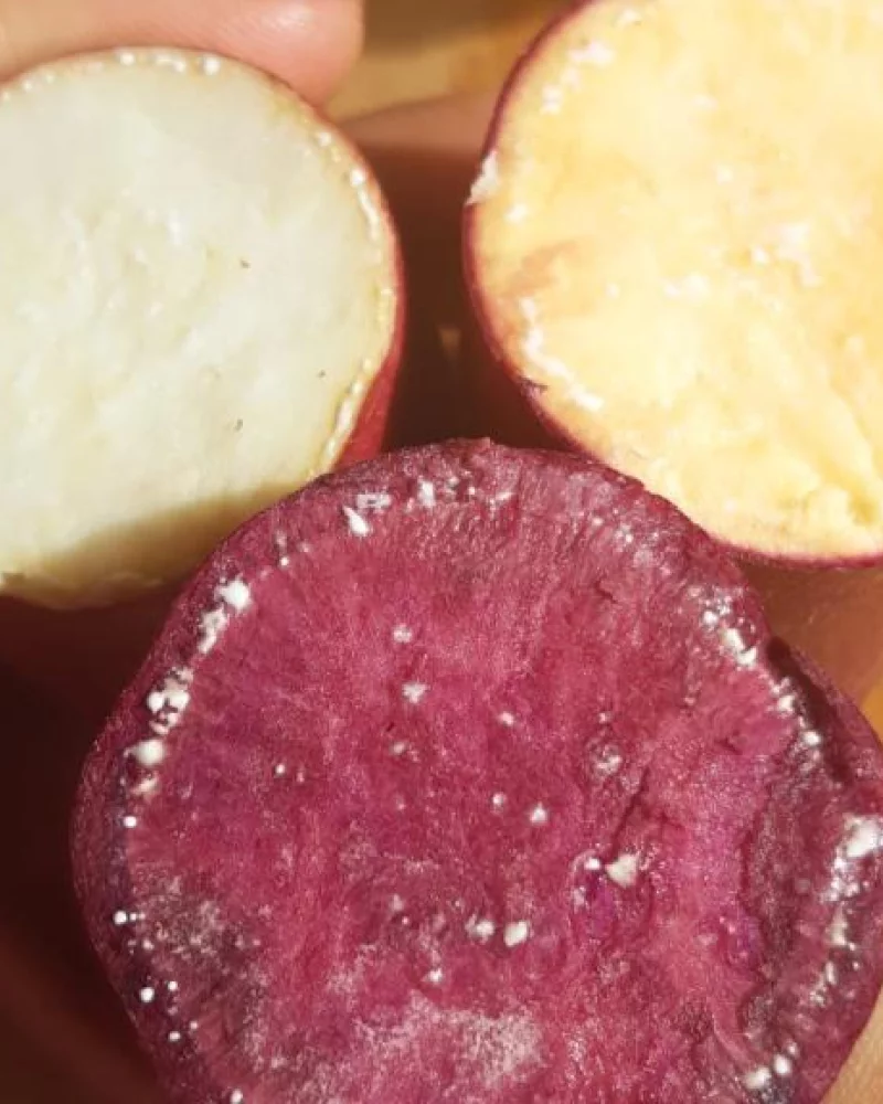 Batata doce de polpa roxa · orgânico