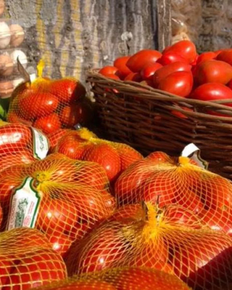Tomate Italiano