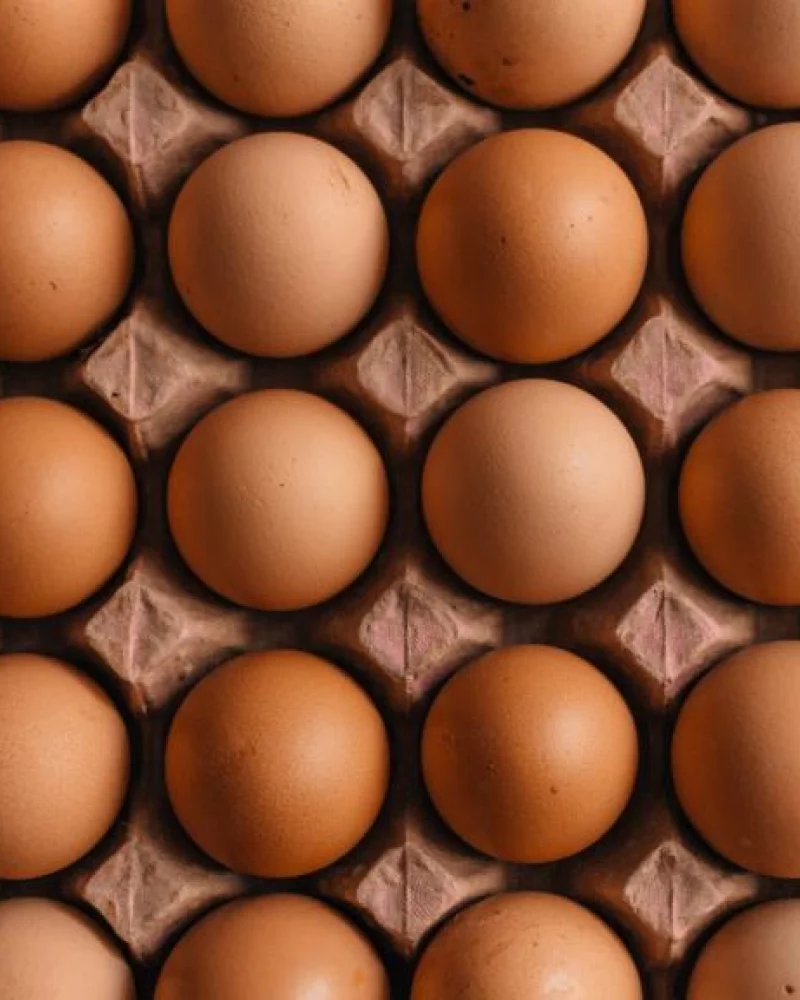 Ovos Caipira orgânico do Sítio Raiz