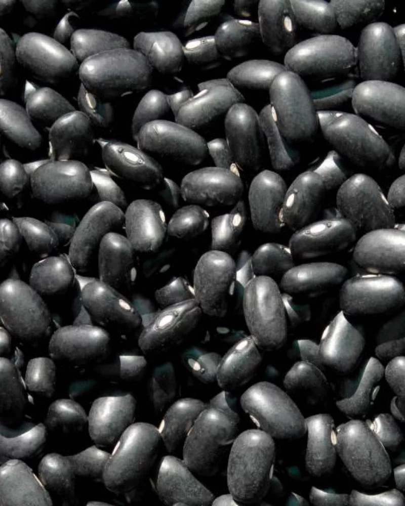 Feijao Preto