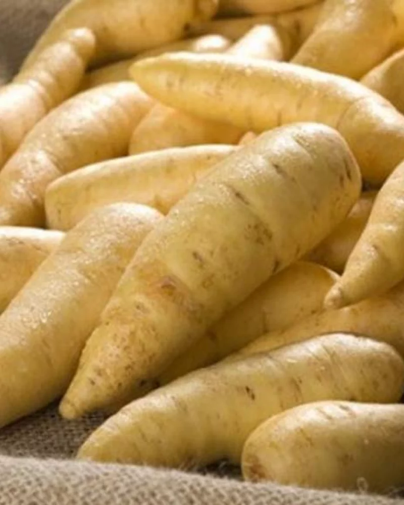 Batata baroa (mandioquinha)